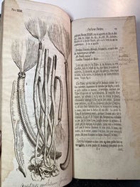 Essai sur l'Histoire naturelle des Corallines, et d'autres Productions marines de même Genre, qu'on trouve communement sur les Côtes de la Grande-Bretagne et d'Irlande; auquel on a joint une Description d'un Grande Polype de Mer, pris auprès du Pole Arctique, par des Pêcheurs de Baleine, pendant l'Été de 1753. First edition with manuscript annotations..