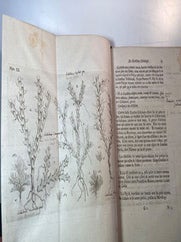 Essai sur l'Histoire naturelle des Corallines, et d'autres Productions marines de même Genre, qu'on trouve communement sur les Côtes de la Grande-Bretagne et d'Irlande; auquel on a joint une Description d'un Grande Polype de Mer, pris auprès du Pole Arctique, par des Pêcheurs de Baleine, pendant l'Été de 1753. First edition with manuscript annotations..