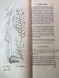 Essai sur l'Histoire naturelle des Corallines, et d'autres Productions marines de même Genre, qu'on trouve communement sur les Côtes de la Grande-Bretagne et d'Irlande; auquel on a joint une Description d'un Grande Polype de Mer, pris auprès du Pole Arctique, par des Pêcheurs de Baleine, pendant l'Été de 1753. First edition with manuscript annotations..
