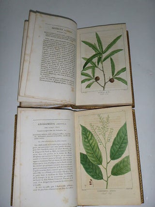 Item #51-6030 Histoire des arbres forestiers de l'Amérique septentrionale : considérés...