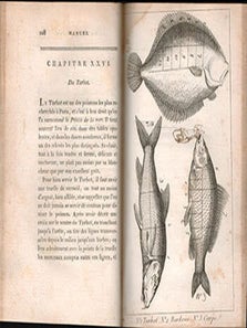 Item #51-6098 Manuel des amphitrions; contenant un Traité de la Dissection des viandes à table,...