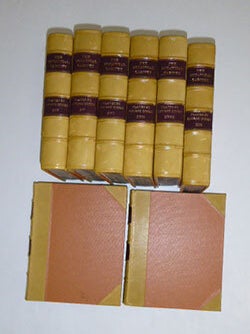 Item #51-6179 The Botanical Cabinet Consisting of Coloured Delineations of Plants, from all...