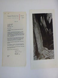 A dossier of sample photographs by Steve Salmieri et al. reproduced in ...