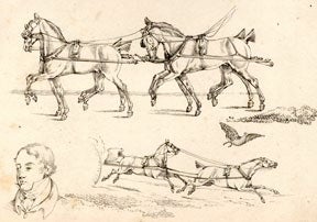 Item #55-0062 Carriage horses. Scraps from the Scrap books of Henry Alken. Henry Alken