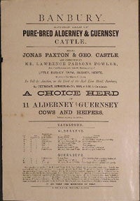Item #55-0576 Autumn Sale of Pure-Bred Alderney & Guernsey Cattle. Banbury [original auction...