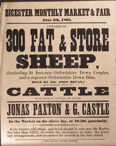 Item #55-0589 Upwards of 300 Fat & Store Sheep and Several Head of Cattle. Bicester [original...