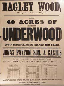 Item #55-0595 About 40 Acres of Excellent Underwood. Bagley Wood, between Oxford and Abingdon ...