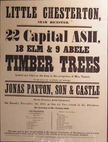 Item #55-0601 22 Capital Ash, 18 Elm & 9 Abele Timber Trees. Little Chesterton near Bicester [original auction poster]. Jonas Paxton, George Son and Castle, Son, George Castle.