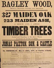 Item #55-0610 327 Maiden Oak, 223 Maiden Ash, 2 Beech and 1 Abele Timber Trees. Bagley Wood, between Oxford and Abingdon [original auction poster]. Jonas Paxton, George Son and Castle, Son, George Castle.