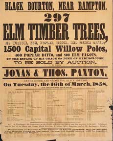 Item #55-0614 297 Elm Timber Trees, Willow, Ash, Poplar, Beech, and other Ditto; 1500 Capital...
