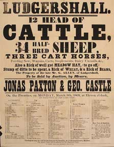 Item #55-0617 12 Head of Cattle, 34 Half-Bred Sheep, 3 Cart Horses, etc. Ludgershall [original...