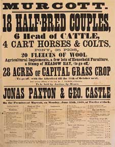 Item #55-0623 18 Half-Breed Couples, 6 Head of Cattle, Horses, Colts, Pony, Pigs, Fleeces of...