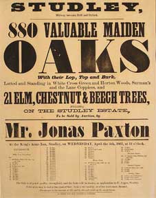 Item #55-0628 880 Valuable Maiden Oaks, and Elm, Chestnut, and Beech Trees. Studley, Midway...