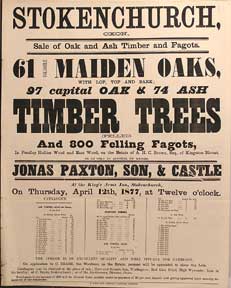 Item #55-0642 61 Valuable Maiden Oaks; Oak, Ash Timber Trees (Felled) and 800 Felling Fagots. Stokenchurch, Oxon [original auction poster]. Jonas Paxton, George Castle.