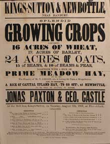 Item #55-0649 Splendid Growing Crops: Wheat, Barley, Oats, Beans & Peas. Kings-Sutton &...