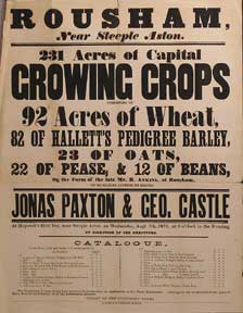 Item #55-0652 Capital Growing Crops, Consisteing of Wheat, Hellett's Pedigree Barley, Oats,...