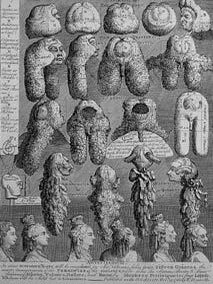 Item #55-0687 The Five Orders of Periwigs and The Bench, two plates from The Works of William...