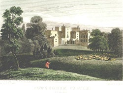 Item #55-0849 Powderham Castle, Sead of Lord Courtenay, Devonshire. Color. Allen after Neale