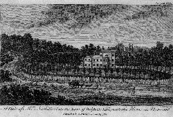 Anonymous - A View of Mrs. Nesbitts (Late the Earl of Bristol's) Villa, Near the Horns in Norwood