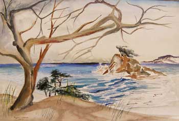 Bowker, Victor Wayne - Windswept Scrub of a Rugged Coast in Northern California