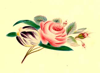Item #59-2382 Flower Study (Rose & Tulip). Lithograph artist.