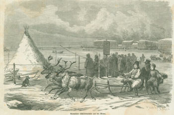Teichel, F.; M. Michael (engrav.); W. Aarland (woodcut) - Rennthier: Schlittenfahrt Auf Der Newa (Reindeer: Sleigh Ride on the Neva)