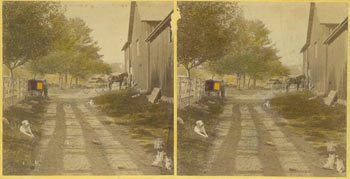 19th Century Photographer - Two Hand-Tinted Black and White Photographs, or Stereograph