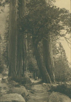 Katherine Hooker, S. P.; Bruce Parker, D. J. - Black and White Photograph: In the Sierras