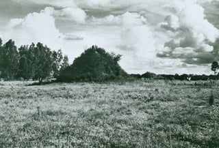 Item #63-2750 Black and White Photograph, meadow in front of fence line. 20th Century American...
