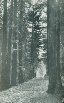 Item #63-3660 Sierra Club Bulletin, Vol. VI, No. 5. June 1908. Sierra Club, Elliott McAllister, E...