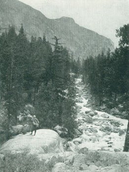 Item #63-3663 Sierra Club Bulletin, Vol. V, No. 4. June 1905. Sierra Club, Willard D. Johnson...