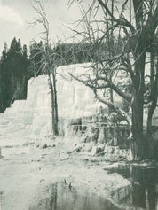 Item #63-3667 Sierra Club Bulletin, Vol. XII, No. 4. June 1927. Sierra Club, Walter L. Huber,...