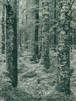 Item #63-3677 Sierra Club Bulletin, Vol. 35, No. 6. June 1950. Sierra Club, David R. Brower,...