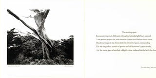 Item #63-4059 Point Lobos (Prospectus). Robinson Jeffers, Wolf Von Dem Bussche, phot