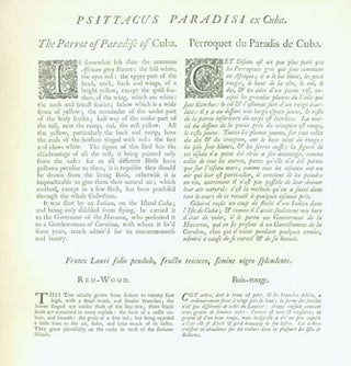 Item #63-5644 Psittacus Paradisi ex Cuba. Parrot of Paradise [Volume I - Plate 10]. One folder...