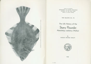 Item #63-6831 The Life History of The Starry Flounder, Plathichthys stellatus (Pallas). Fish Bulletin No. 78. Original First Edition. Department of Fish State Of California, Bureau of Marine Fisheries Game, Harold George Orcutt.