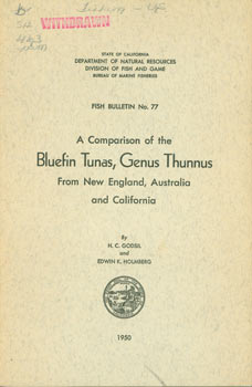 Item #63-6832 A Comparison of the Bluefin Tunas, Genus Thunnus From New England, Australia and...