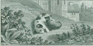 Item #63-7217 Cat & Dog Cuddling On Lawn. 19th Century British Engraver?