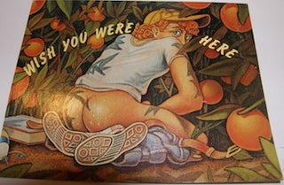 Item #63-9707 Wish You Were Here. A Rude Post Card. Rude Graphics, Richard Hernandez, NY Hudson,...