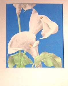 Item #65-0017 Cala Lily. Flower Artist