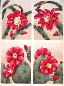 Item #65-0024 Flowering Cacti. Chandler. R