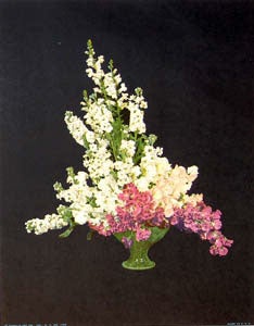 Item #65-0060 Floral Silhouettes. (Nos. 1120 - 1123). Inc Donald Art Co