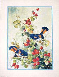 Item #65-0072 Bird and Blossom by Sibal. (532-B - 533-B). Inc Donald Art Co, J. after Sibal
