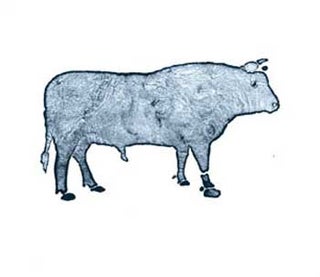 Item #65-0099 Bull. Animal Artist