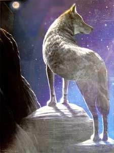 Item #65-0388 Lone Grey Wolf. Barrett, Robert