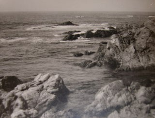 Item #68-0797 Monochrome Photograph [Point Lobos State Natural Reserve, south of Carmel, CA?]....