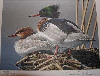 Anderson, Neal R. (art) - 1994 - 1995 Federal Duck Stamp Print by Anderson. Signed by Anderson, Numbered 4333 of 20,000
