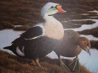 Item #68-1135 1991 - 1992 Federal Duck Stamp Print by Nancy Howe. Signed by Howe, numbered 4382...