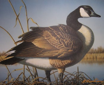 Item #68-1137 1997 - 1998 Federal Duck Stamp Print by Robert Hautman. Signed by Hautman, numbered 4333 of 7500. Robert Hautman, art.