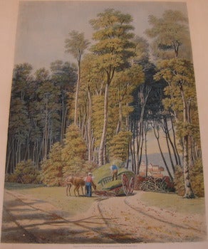Item #68-2646 A Road Accident, A Glimpse Thro'an Opening Of The Primitive Forest. Thornville, Ohio. Color engraving by W. I. Bennett, from an original painting by G. Harvey. 1841. After George Harvey, W. I. Bennett, art., engrav.